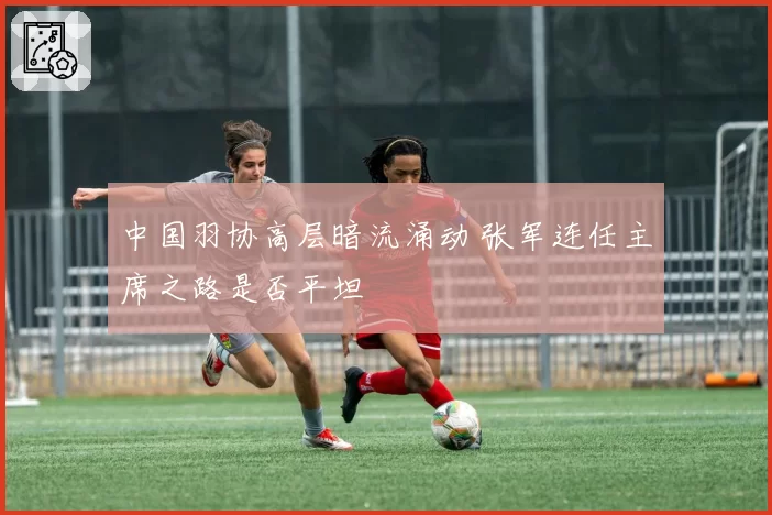 中国羽协高层暗流涌动 张军连任主席之路是否平坦
